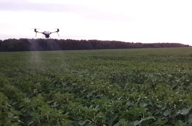 Сейчас в Пензенской области поля от вредителей обрабатывают с помощью дронов.