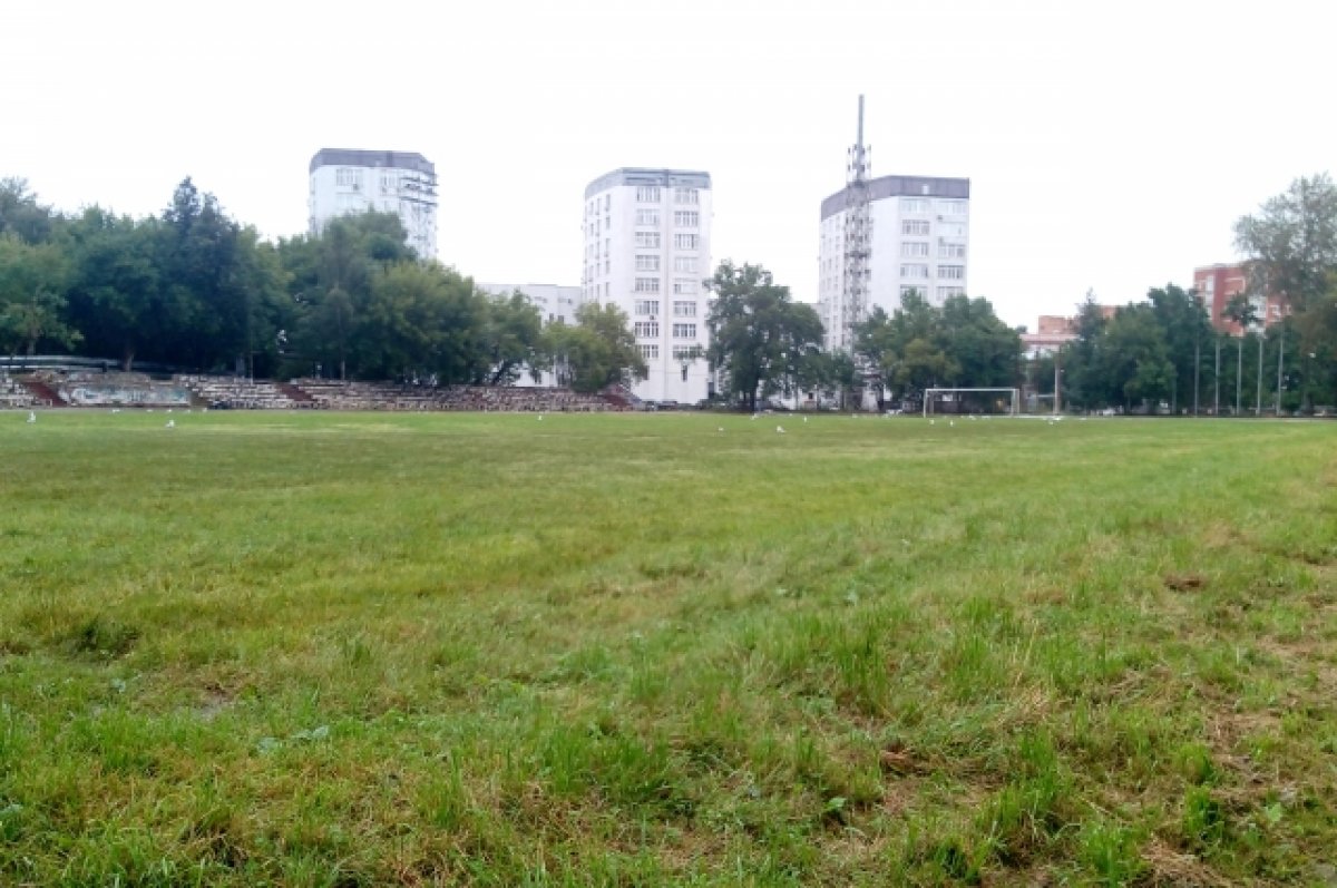 В Нижнем Новгороде могут отремонтировать стадион «Водник» | АиФ Нижний  Новгород