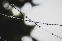 По апелляционному представлению прокурора и жалобам потерпевших суд ХМАО-Югры изменил приговор.