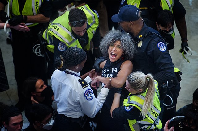 Антиизраильские демонстранты на время оккупировали американский парламент.