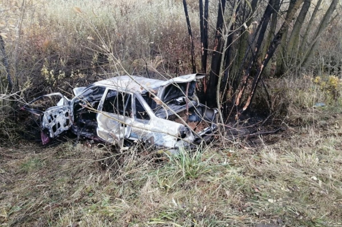 Водитель Daewoo Nexia насмерть разбился в ДТП в Мглинском районе Брянщины |  АиФ Брянск