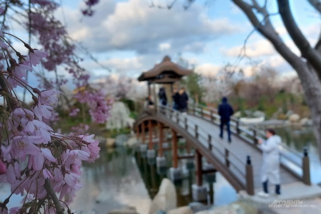 Японский сад в парке «Краснодар».