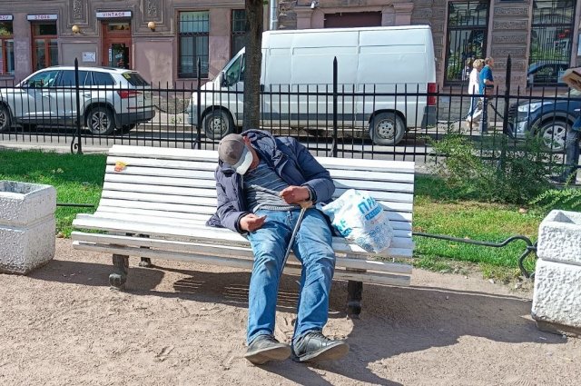 Пока в Крыму нет приюта для бездомных