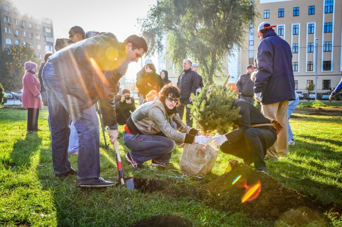 В Ростове в День древонасаждения высадили около трёх тыс. деревьев