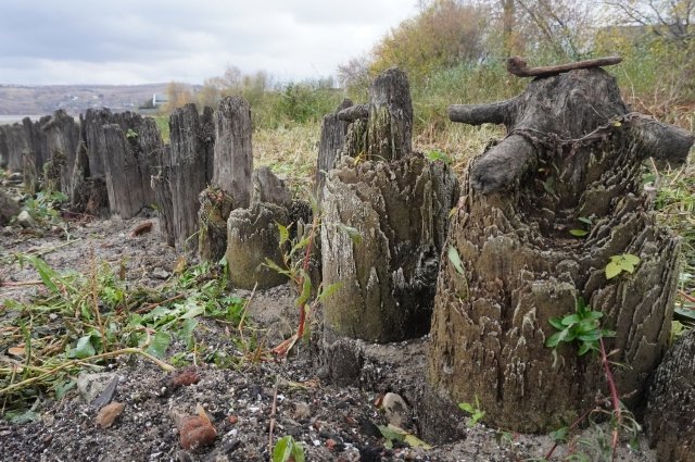 Куйбышевское водохранилище обмелело, и на острове Свияжск открылся древний частокол. 