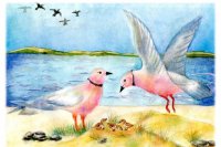 Работа Марины Погуляевой, 14 лет, Розовые чайки