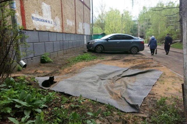 Некоторые водители для своих авто даже «парковочные» ковры подстилают.