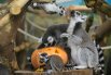 Животные Новосибирского зоопарка полакомились тыквой5