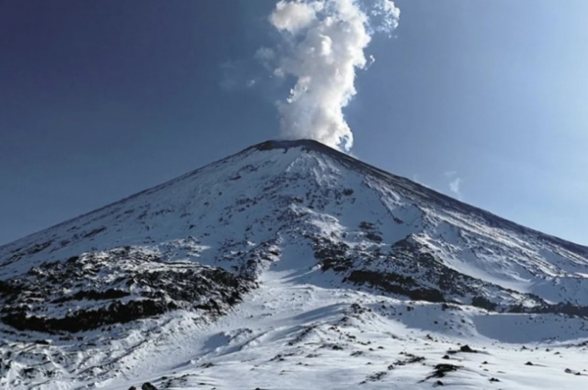 Ученый Чебров предупредил, что вулкан Ключевской станет более активным