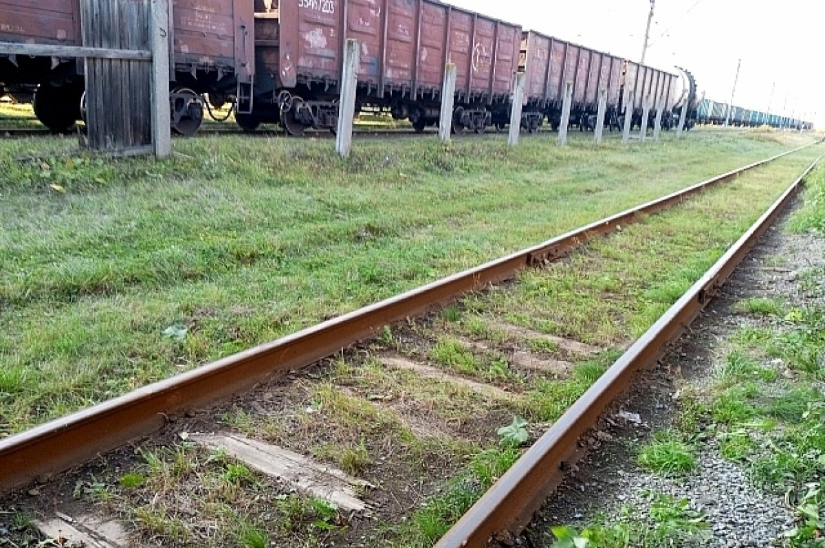 В поезде из ЕАО в Хабаровск задержали пьяного подростка | АиФ Хабаровск