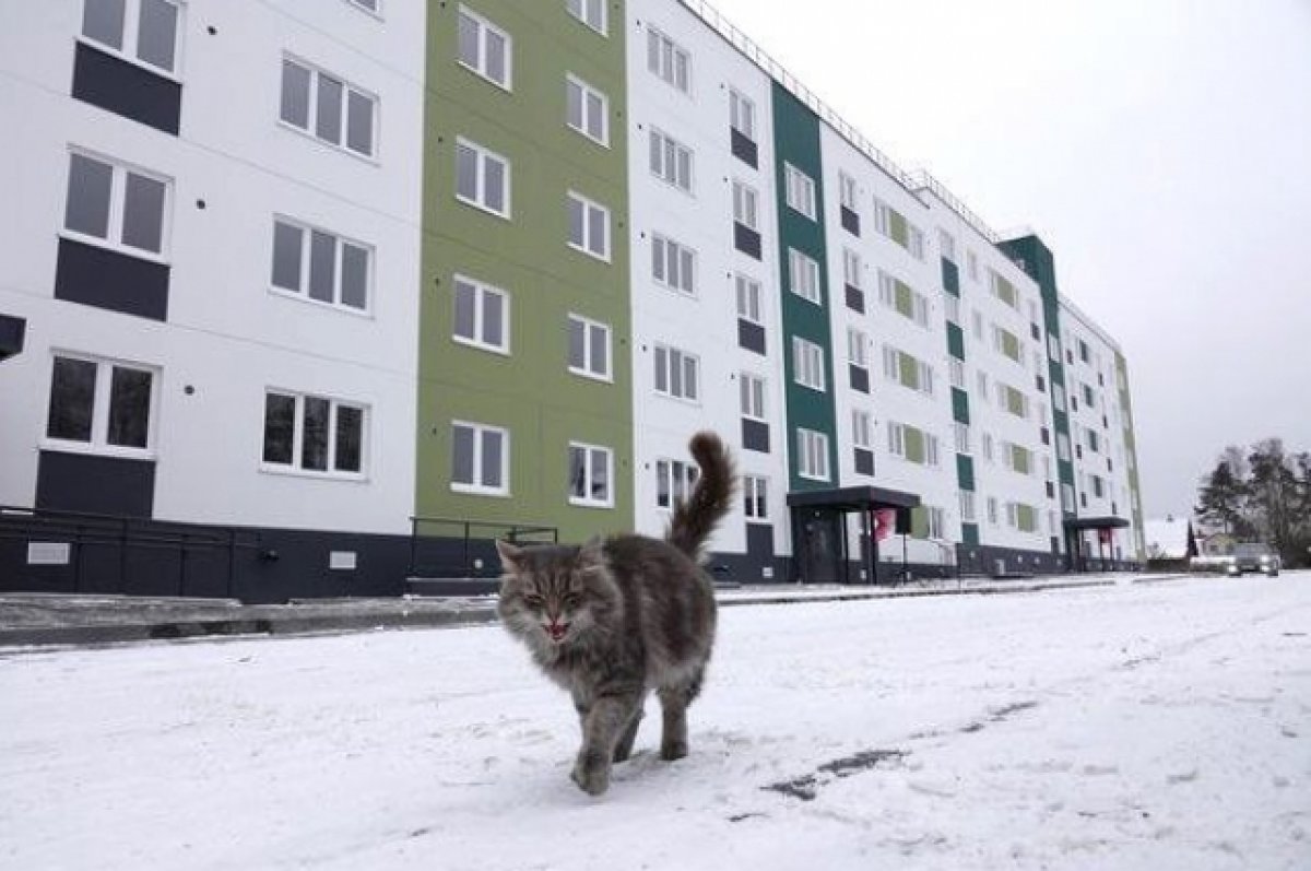 Первые 30 жильцов дома на улице Первомайской в Суоярви получили ключи | АиФ  Карелия