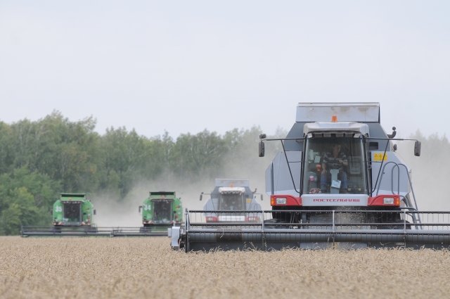 4-е место в России заняла Волгоградская область в 2022 г. по производству зерна.