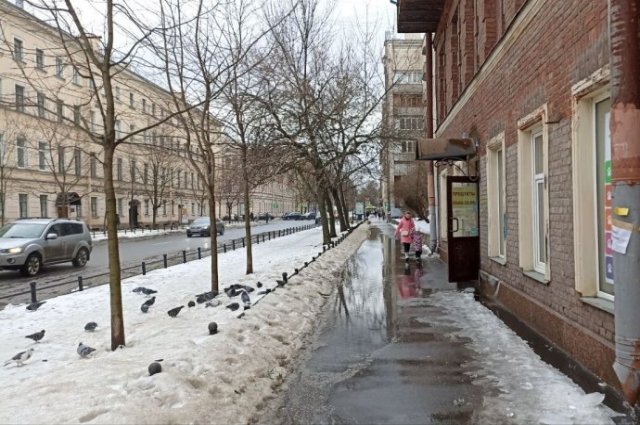 Пермский реагент растопит питерский лёд.