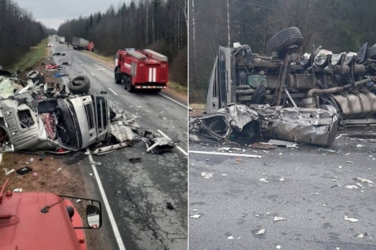 Два человека погибли при столкновении двух фур на М-9 в Тверской области |  АиФ Тверь