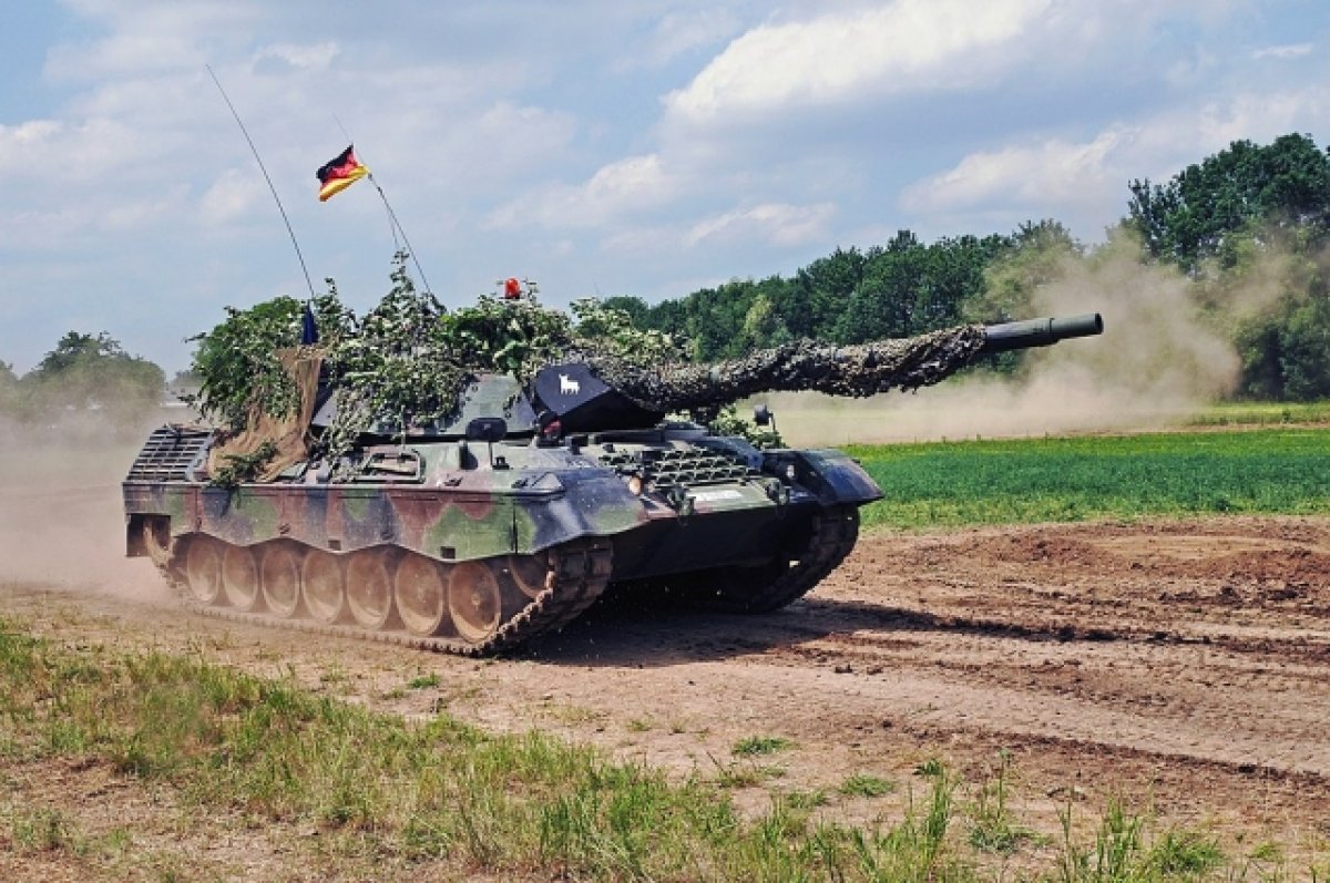 В Германии на защиту животных поставили танк Leopard I