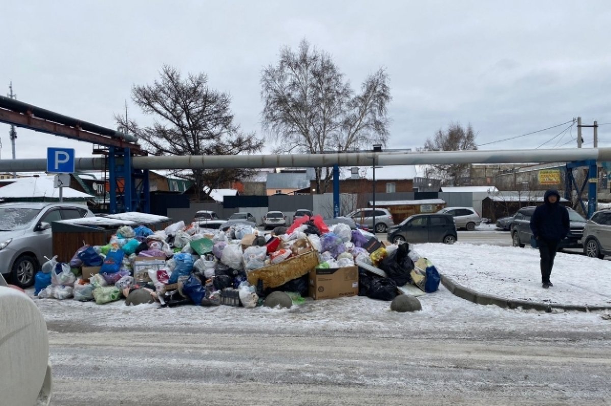 Власти отреагировали на наличие гор мусора во дворах Новосибирска | АиФ  Новосибирск