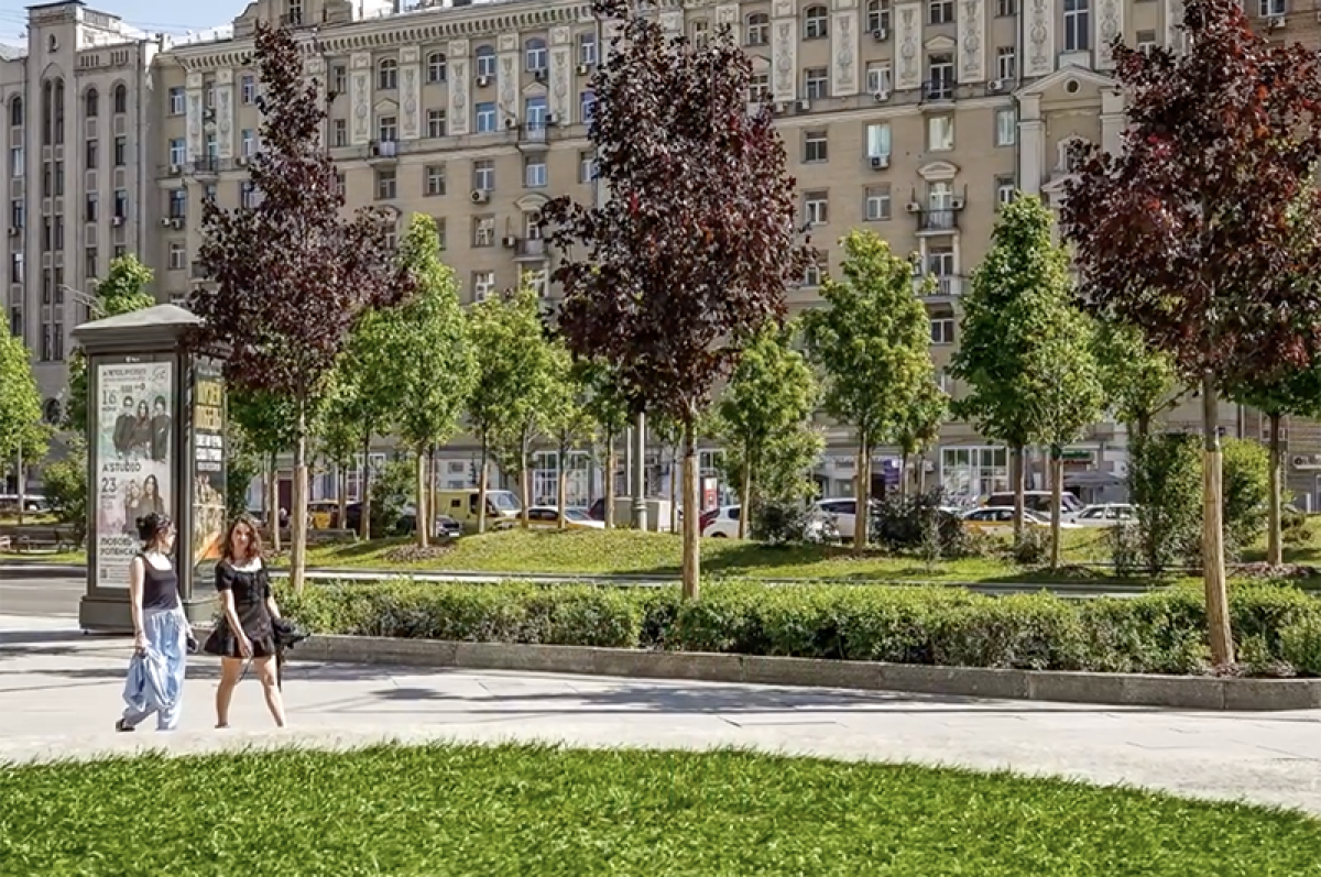Устойчивые к городским условиям. В Москве высадят сотни новых деревьев