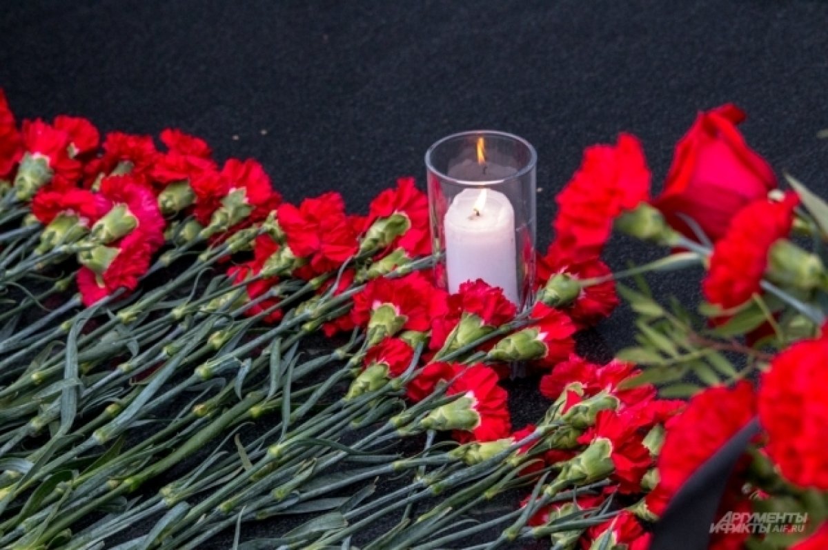 Франция выразила соболезнования. Траурная церемония. Соболезнования погибшим на сво. Трагедия соболезнования. Соболезнования по случаю гибели военнослужащего на Украине.