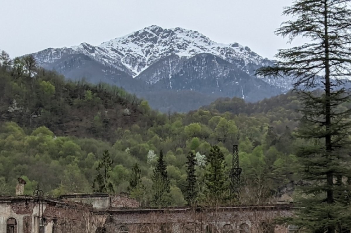 Служба безопасности Абхазии не подтвердила информацию о диверсантах в горах