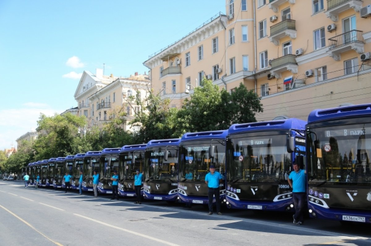 В Астрахани готовятся запустить автобусы в Кири-Кили | АиФ Астрахань