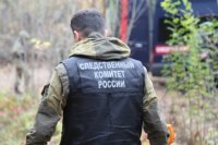 Задержан подозреваемый в убийстве пенсионера из Новосергиевского района.