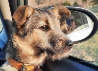 Мотя уже провела первую ночь в новом доме