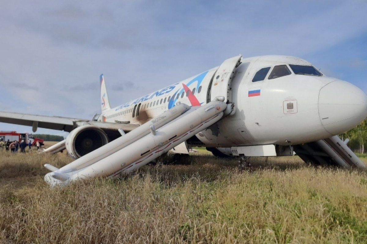 На второй круг. Ошибки расследования посадки в поле рейса Сочи-Омск | АиФ  Омск