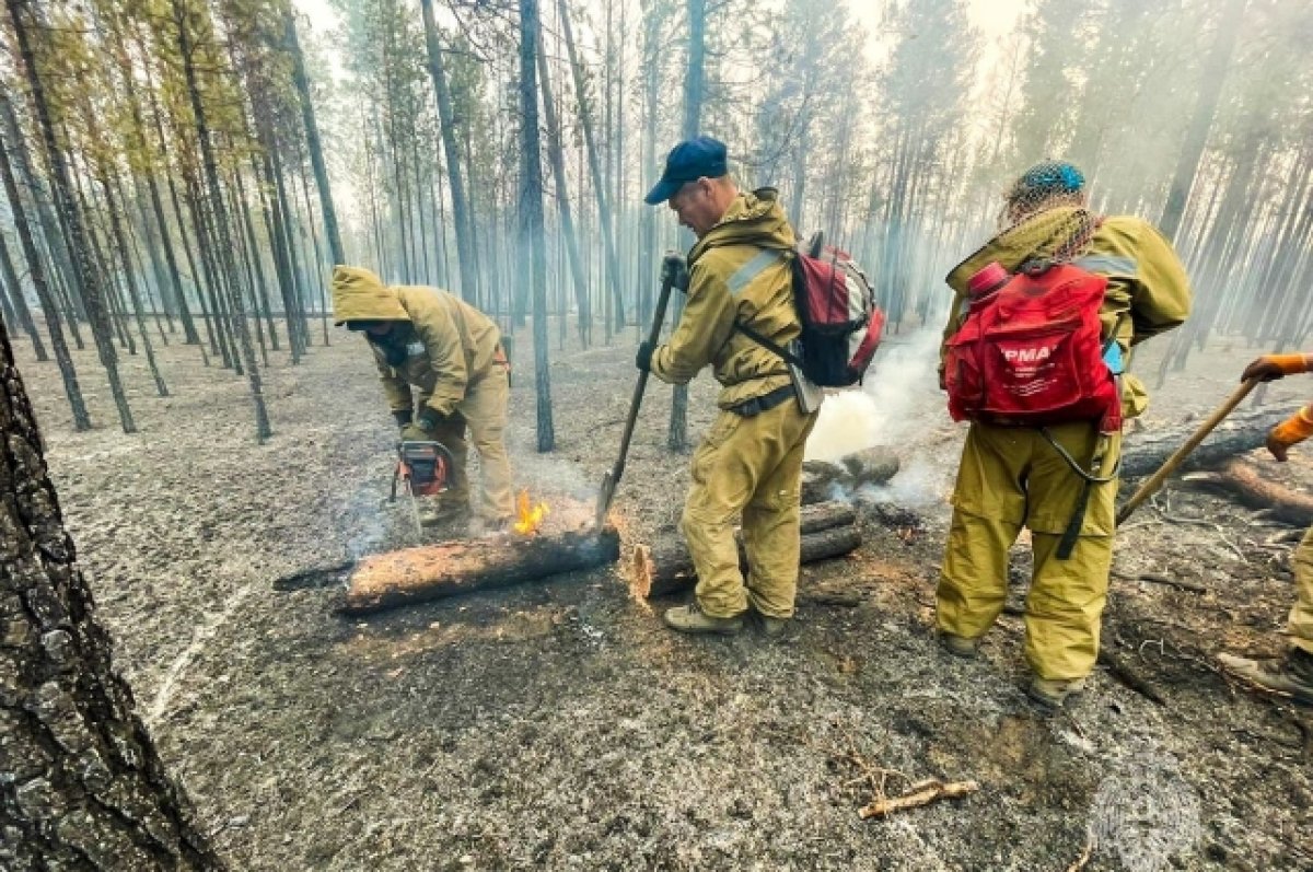 Глава Рослесхоза Советников рассказал, где в 2023 году чаще горели леса