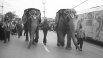 1998 год. По улицам слонов водили. Цирк Терезы Дуровой поздравлял Екатеринбург с днём города.