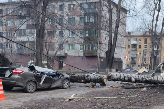 Чтобы извлечь тела людей, на которые рухнуло дерево в Новокузнецке, спасатели распилили дерево и автомобиль. 