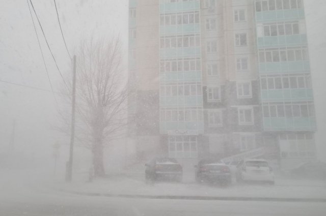 Температура воздуха в Кирове днём – -6…-8 градусов, в целом по области – -4…-9 градусов.