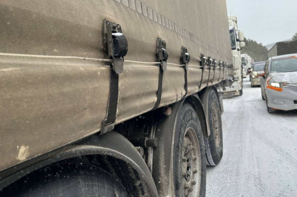 Участок трассы в Саратовской области перекрыли из-за метели | АиФ Саратов