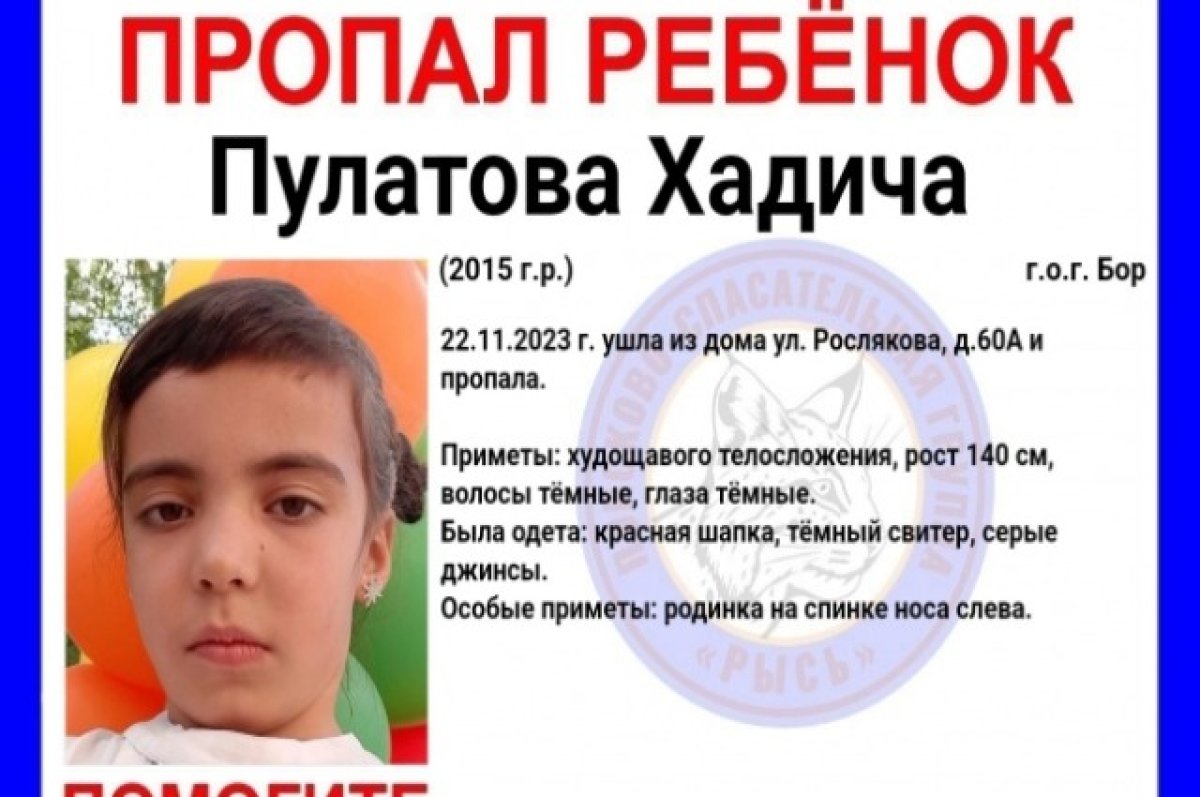 8-летняя Хадича Пулатова пропала на Бору Нижегородской области | АиФ Нижний  Новгород