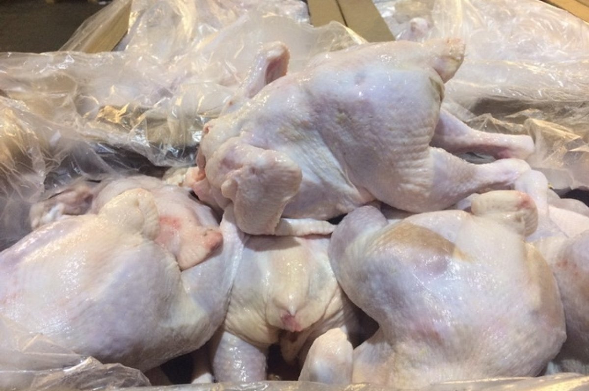 Путин поручил увеличить производство мяса птицы в России