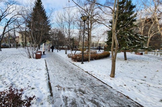 В Южно-Сахалинске днем временами небольшой снег, температура 0…-2°С. На дорогах гололедица.
