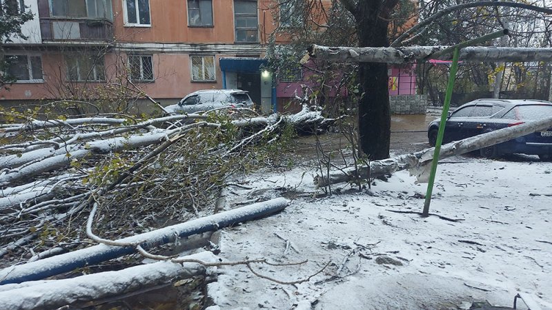 15-метровый тополь упал на ул. Дмитрия Ульянова в Симферополе. Повреждены трубы отопления, оборваны провода.