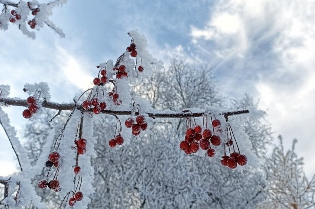 1 декабря в западных и юго-западных районах Удмуртии температура может упасть до -13...-17 градусов. 