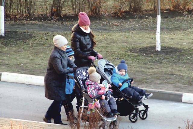 Многодетным семьям получить участок станет проще.