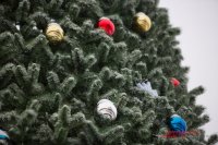 В Казани рассказали, сколько праздничных елок установят в этом году к празднованию Нового Года. 