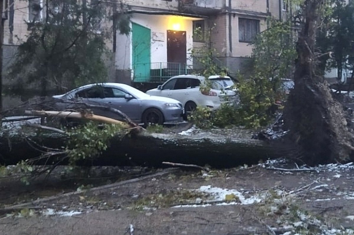 Власти Ростовской области примут решение о выплатах людям после урагана