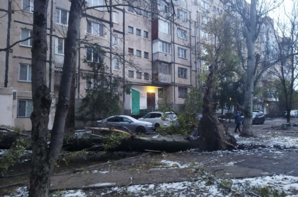 Константинов: сумма ущерба от урагана в Крыму составила 1,3 млрд рублей
