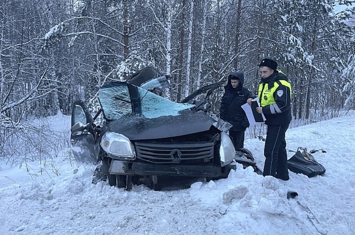 В ГИБДД рассказали о погибших в ДТП с автобусом на Серовском тракте | АиФ  Урал