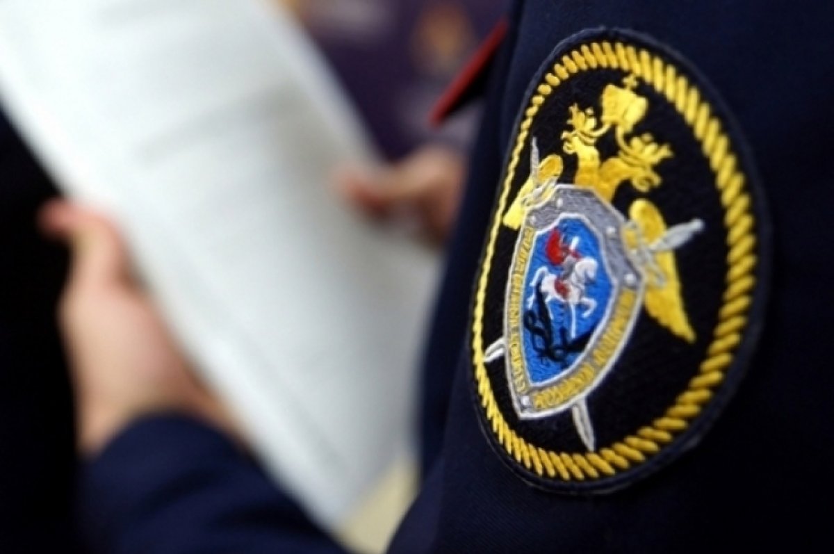 Найдена пропавшая в Калужской области восьмилетняя девочка