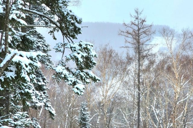 В Южно-Сахалинске днем без существенных осадков, температура 0...-2°С.