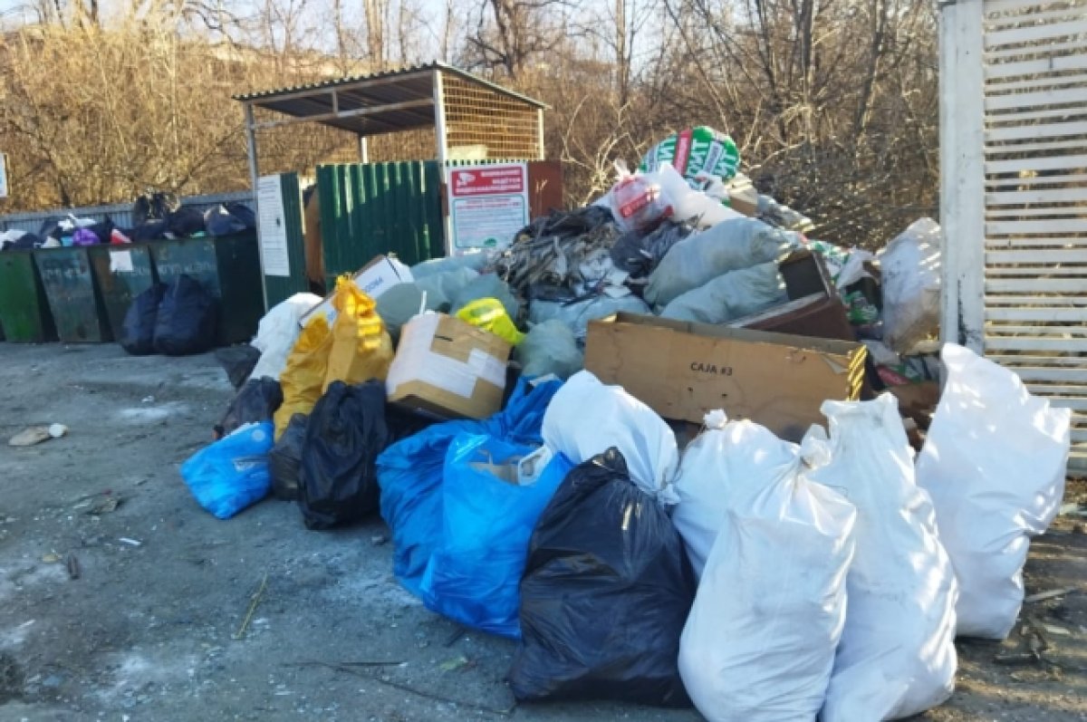 В Ростове в два раза вырастет тариф на вывоз мусора