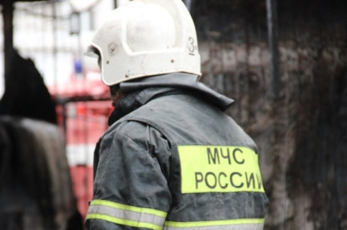 Пожар на заводе специализированных автомобилей в Москве ликвидирован