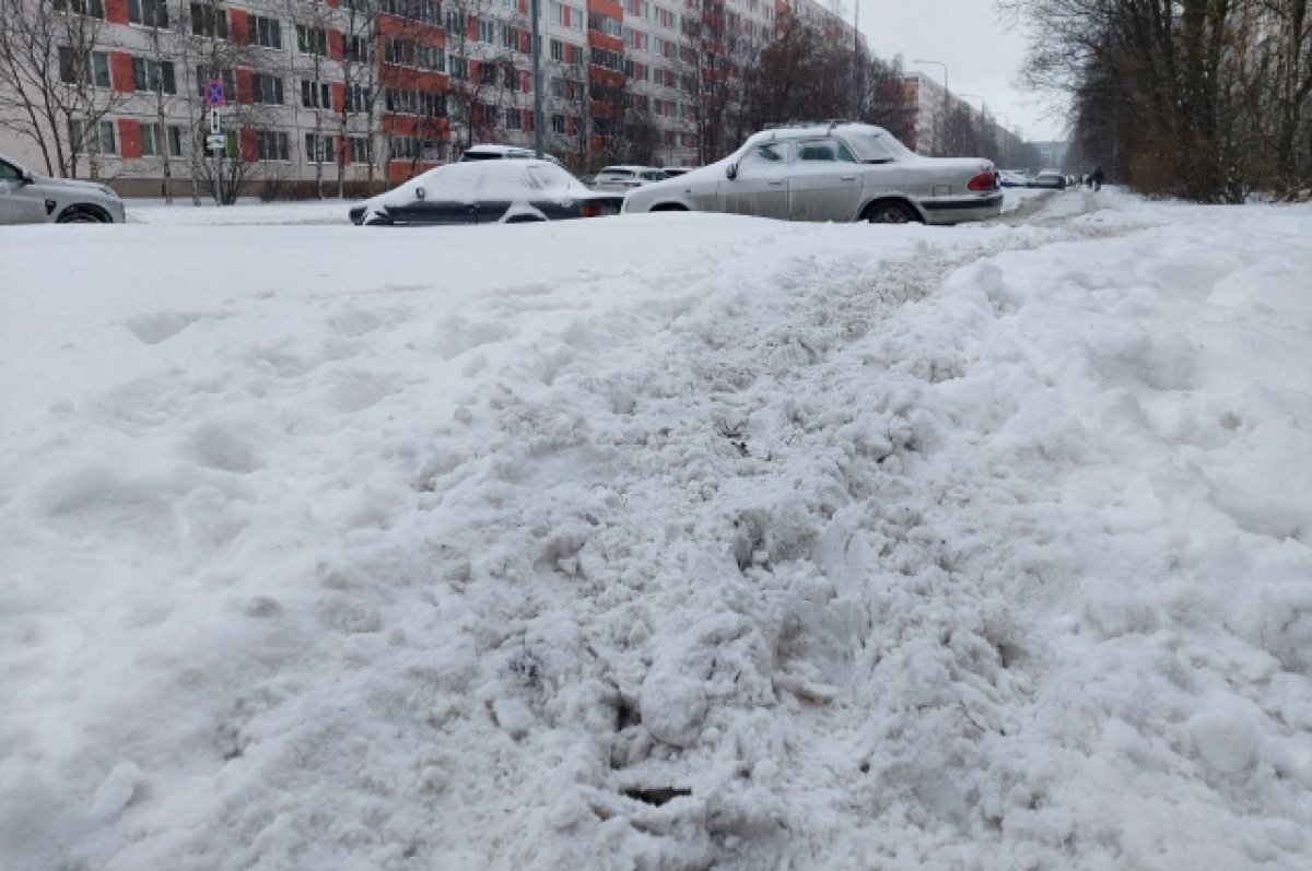 Погода в Хабаровском крае и ЕАО на 6 декабря | АиФ Хабаровск