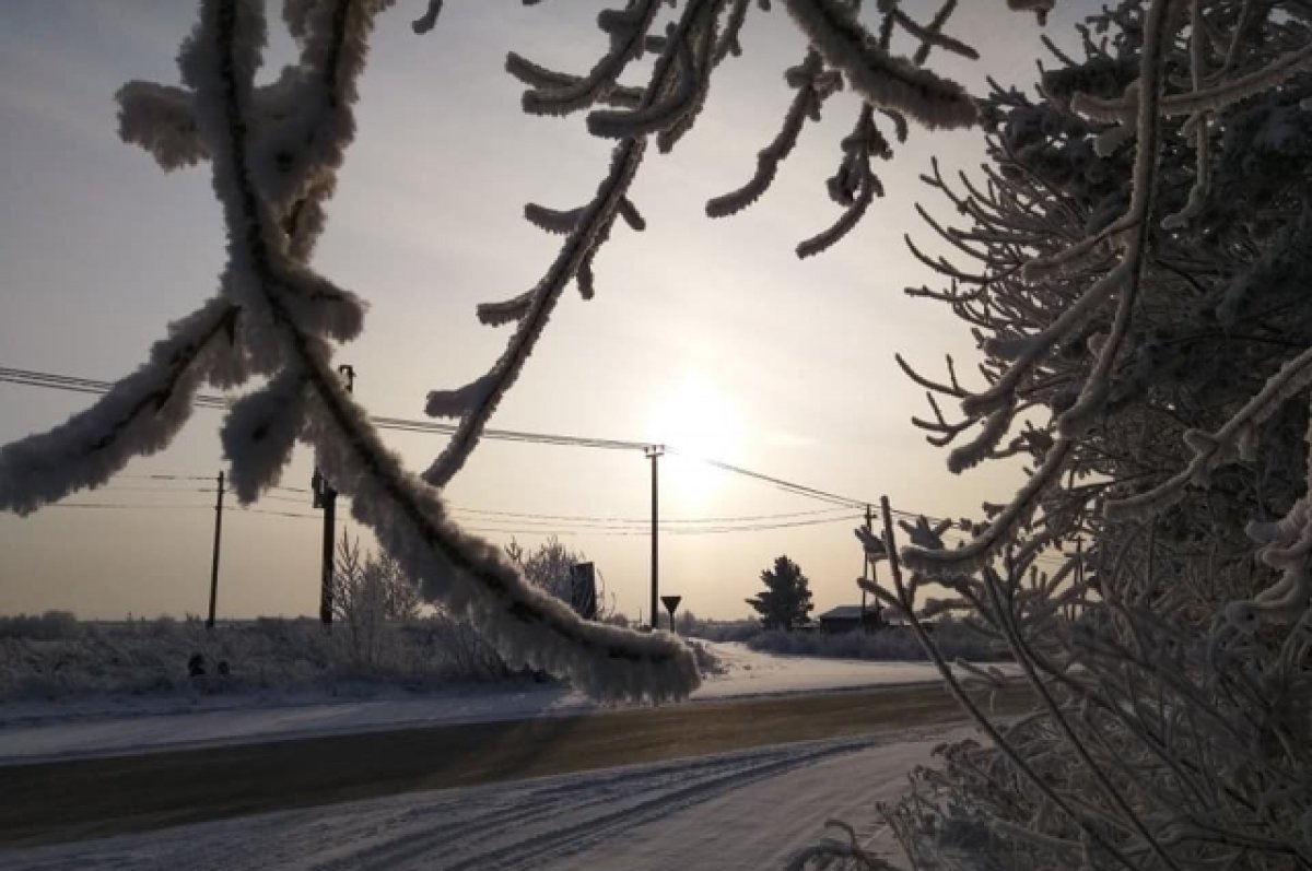 Мороз под 40 градусов накроет Алтайский край