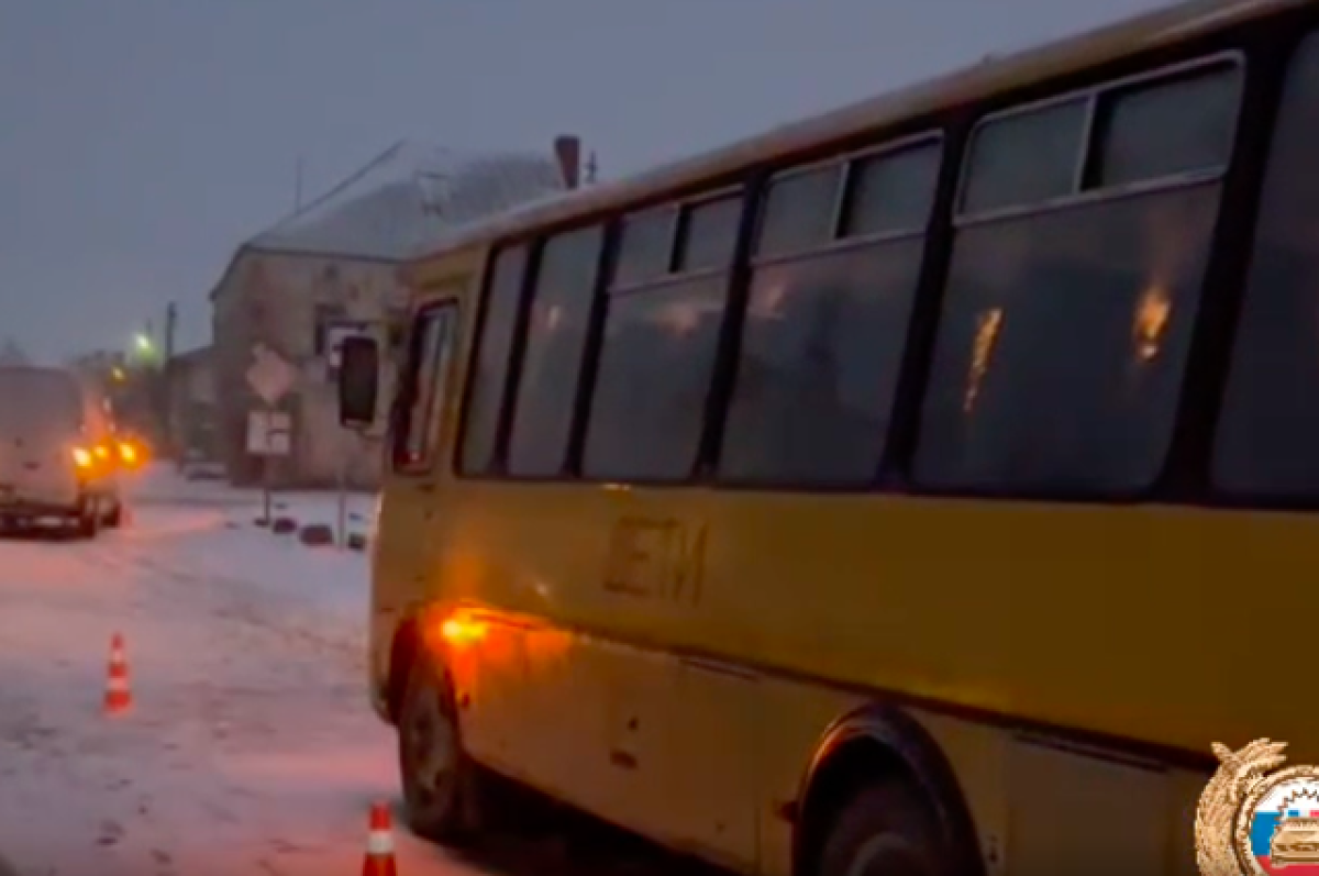 В Неманском районе под машину попала вышедшая из-за автобуса девочка | АиФ  Калининград