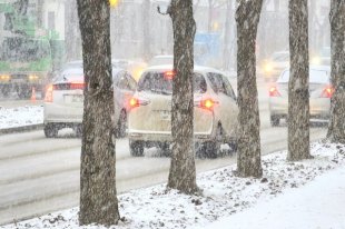 В Южно-Сахалинске днем временами небольшой снег, температура -6…-8°С. На дорогах гололедица.